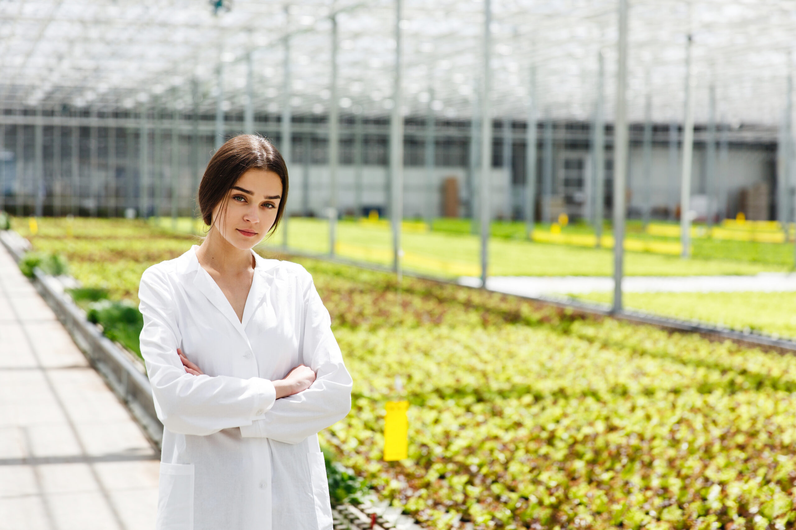 confident scientist from Kan Grow scaled