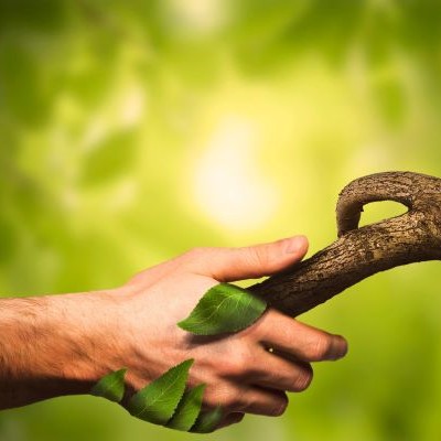 organic and sustainability is easily reached